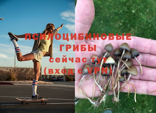 герыч Новозыбков