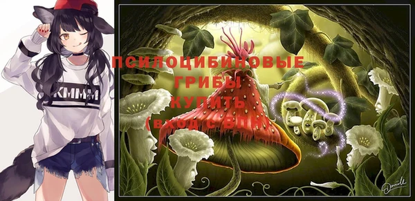 кокаин Няндома