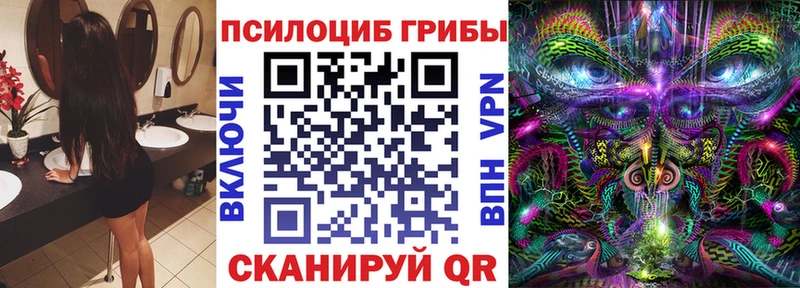 где можно купить   Заполярный  Галлюциногенные грибы прущие грибы 