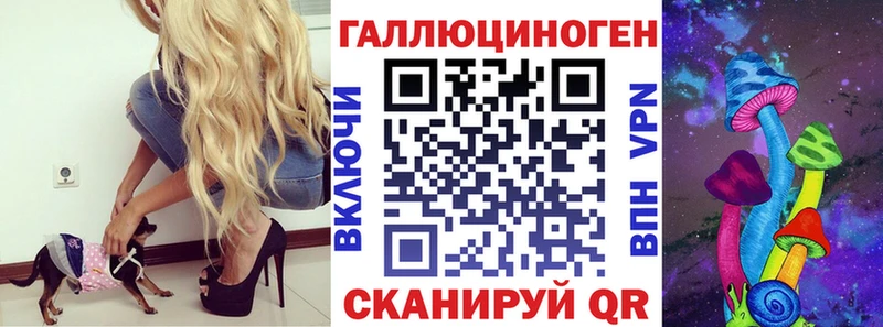 Псилоцибиновые грибы Psilocybine cubensis Заполярный